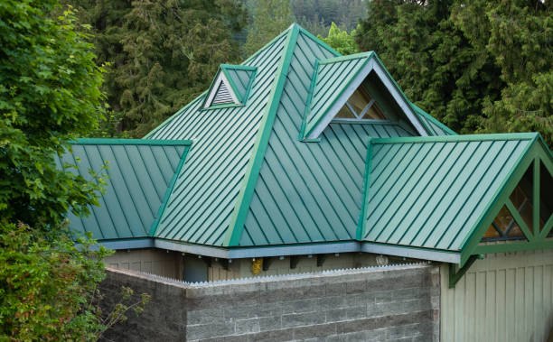 Best Steel Roofing  in Passapatanzy, VA