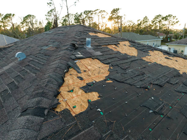 Best 4 Ply Roofing  in Passapatanzy, VA